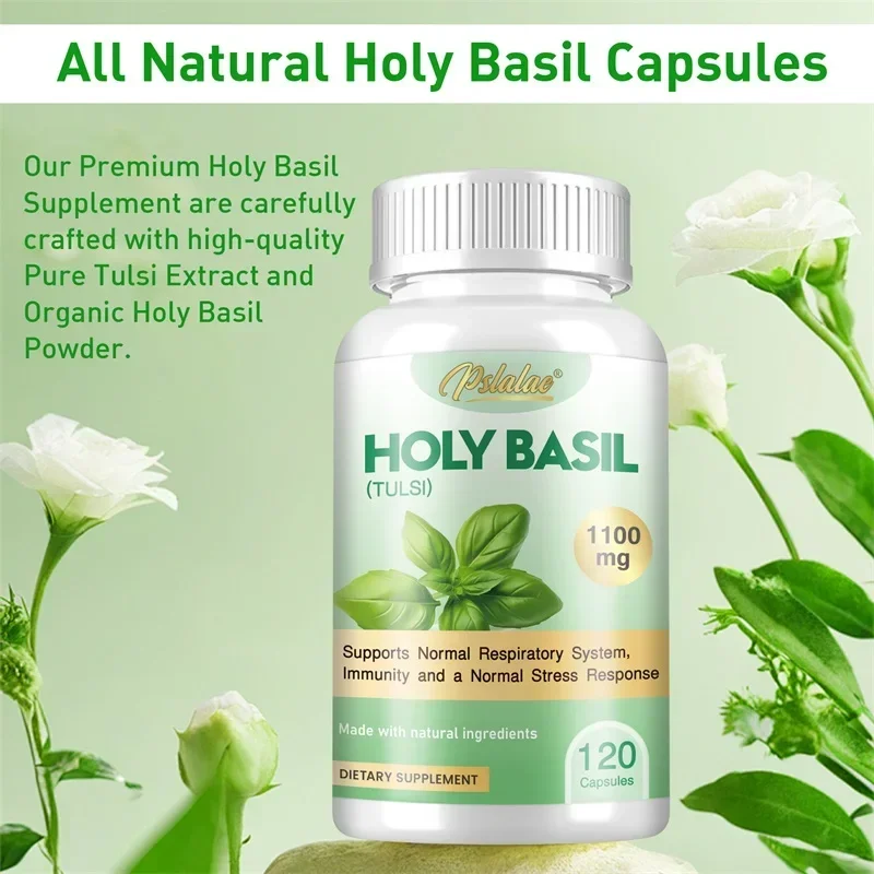 Tulsi Holy Basil - Capsules de basilic sacré – Améliore