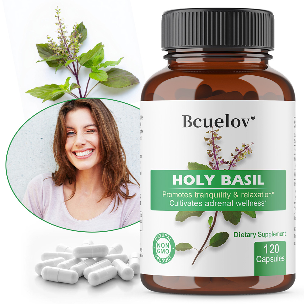 Tulsi Holy Basil - Capsules d'extrait de basilic sacré (Tulsi),