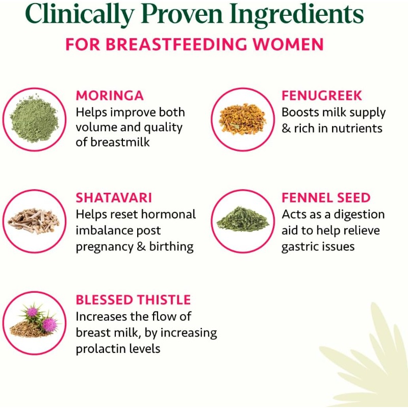 60 Capsules de Complément Alim - Ayurvedic & Herbal Wellness Kits avis et prix